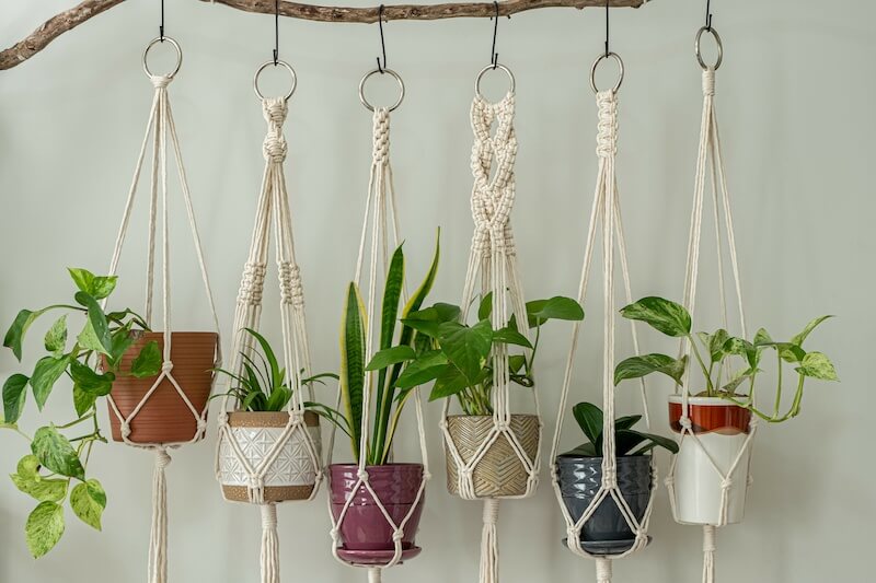 DIY Macrame Plant Hangers