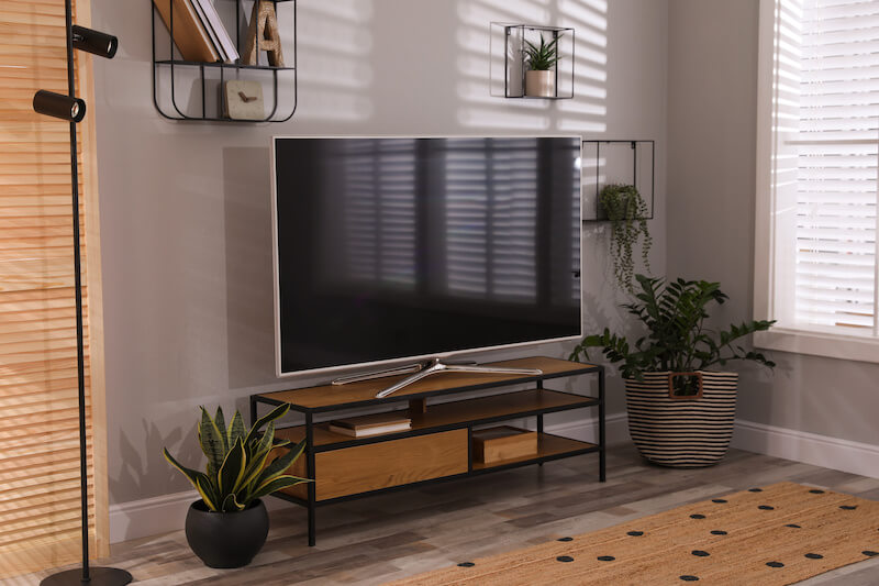 Plants Around TV