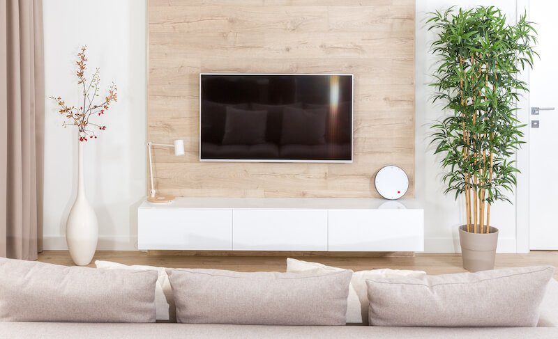 TV on Wood Paneling