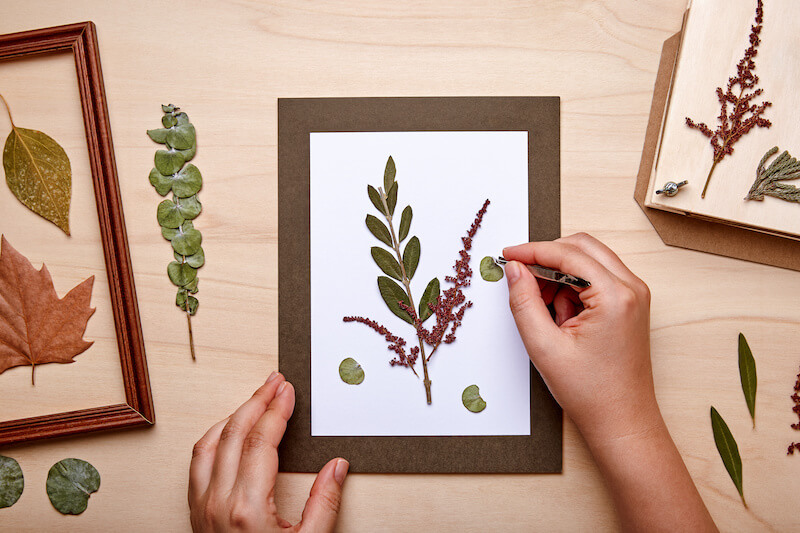 DIY Pressed Flower Art