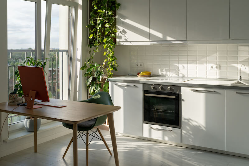 Trailing Houseplants on Kitchen Shelves