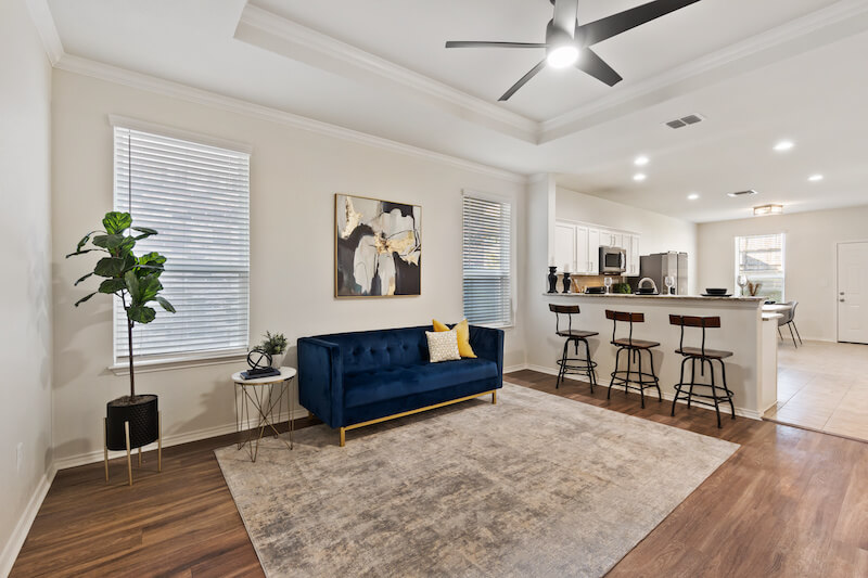 Living Room with Fiddleleaf Fig