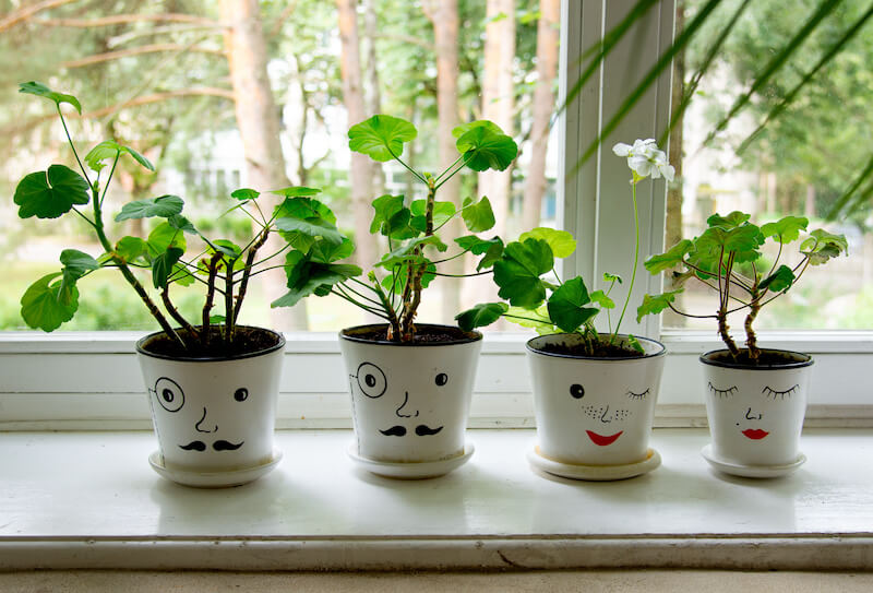 Funny Decorative Plant Pots on Windowsill